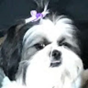 Meet your Posher, Janet